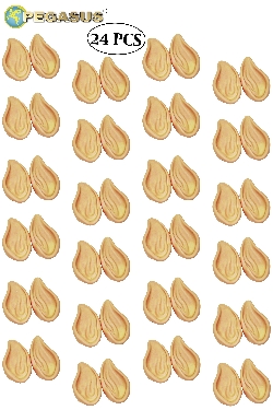 ORECCHIE DA ELFO (CF 24 PZ)